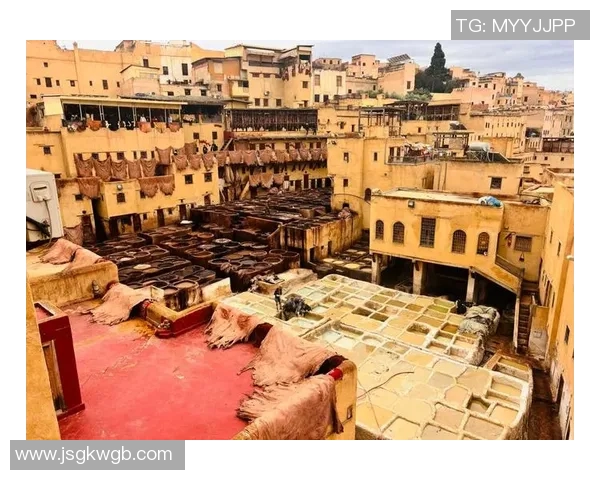 摩洛哥与巴黎的文化交融探索与美食之旅